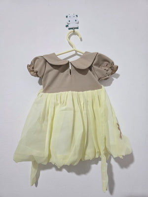 Original product photo of sage and lemon bunny party dress from Inaabia 4-dress combo