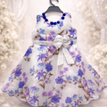 Blue Blossom Party Dress for Girls