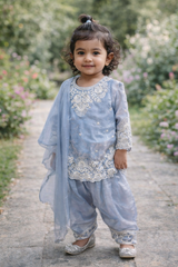 Blue Embroidered Kurta & Palazzo Set for Baby Girls